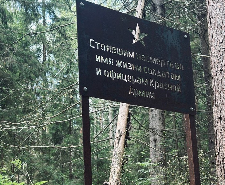 Поисковики из Владимирской области проведут месяц в поисках останков бойцов ВОВ