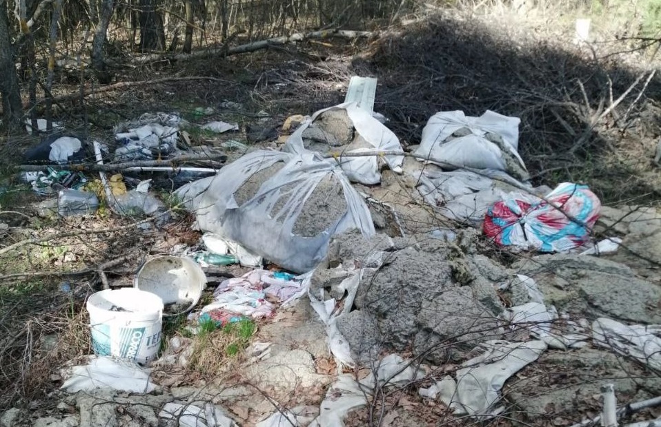 В Петушинском районе ликвидируют незаконную свалку площадью 1100 квадратных метров