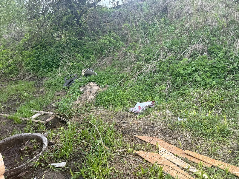Прокуратура подала в суд на власти Мурома из-за мусора в деревне