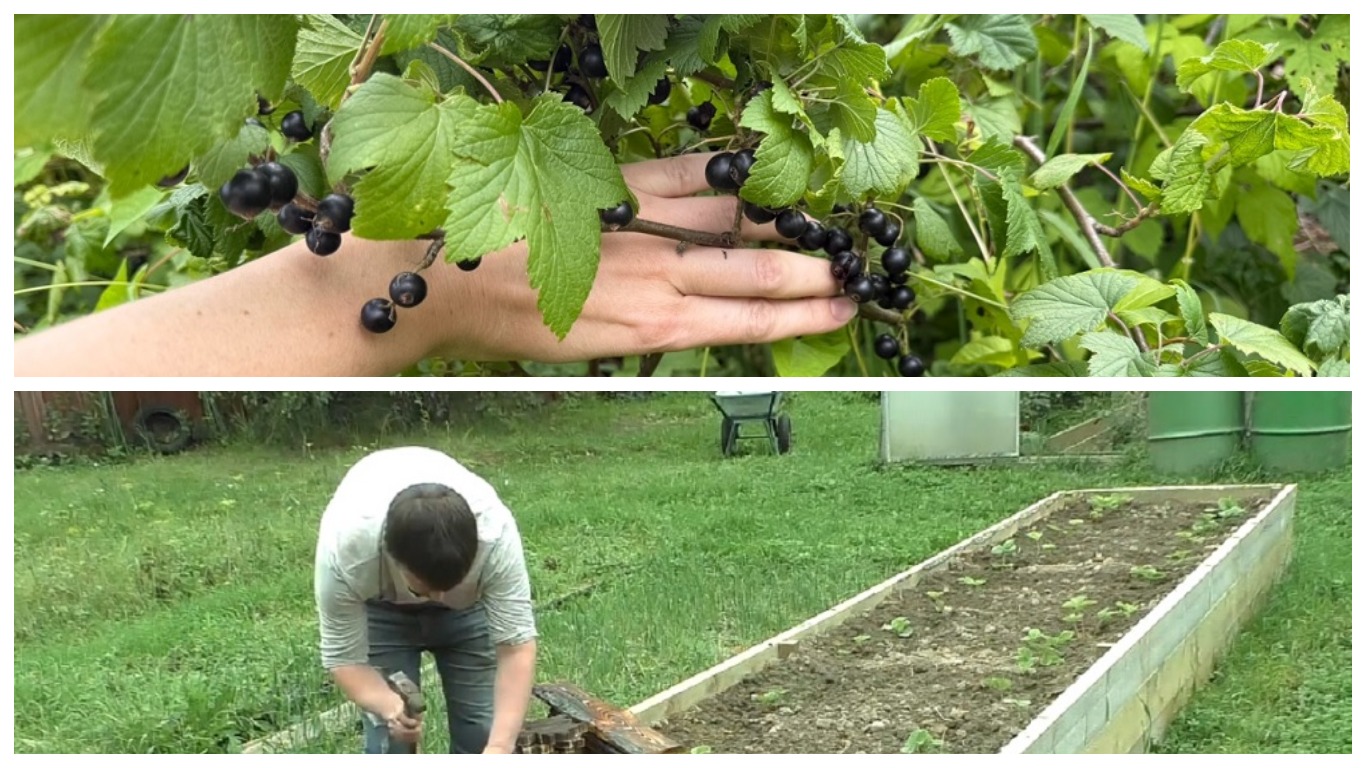  что обязательно нужно успеть сделать?