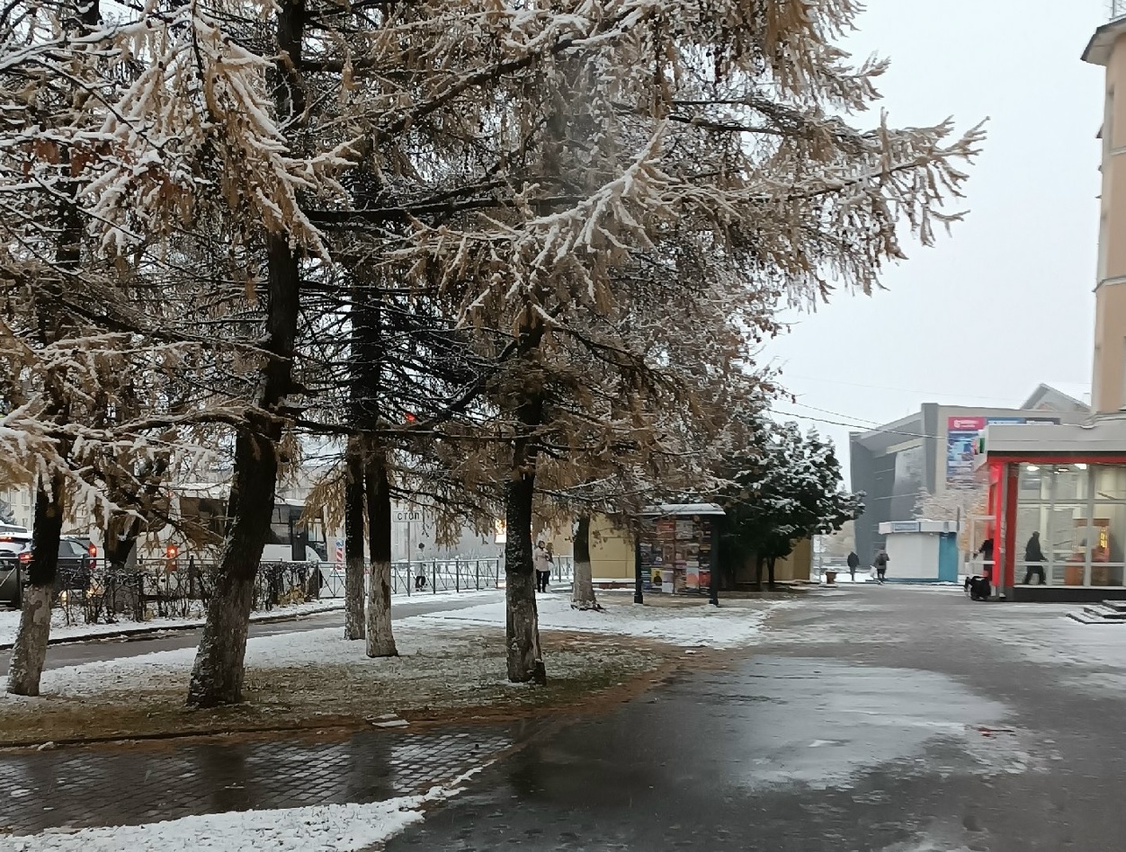  новый прогноз