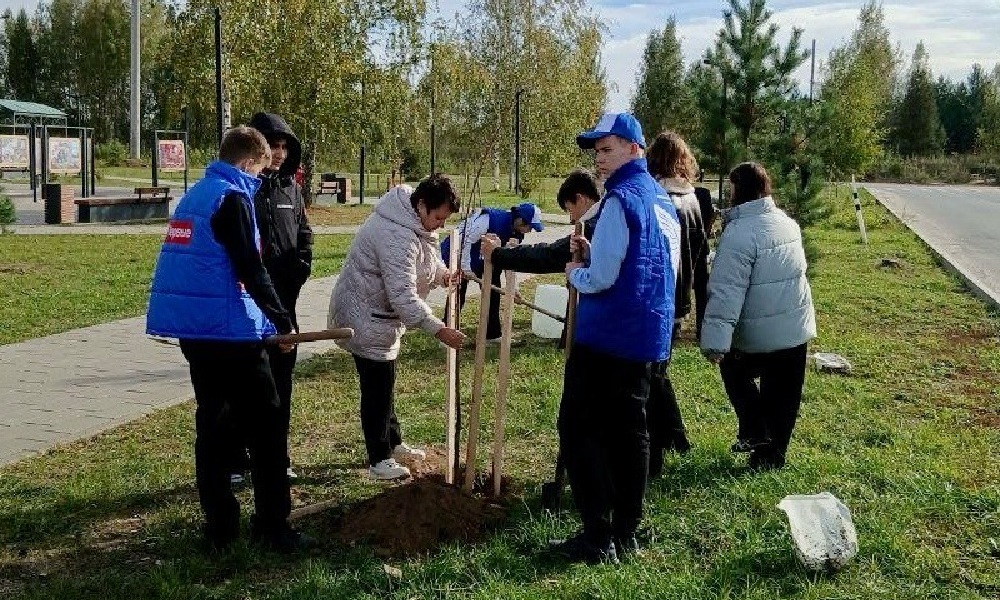 Аллея Героев появилась в Покрове