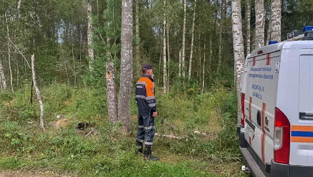 Владимирцы обратились к спасателям более 12 тысяч раз за неделю