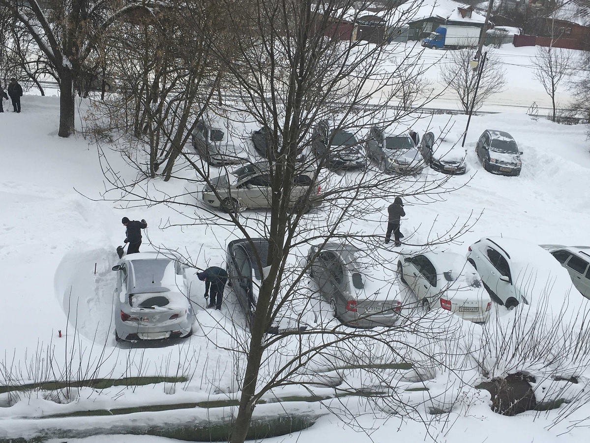  погода грядущей зимой будет напоминать американские горки - новый прогноз