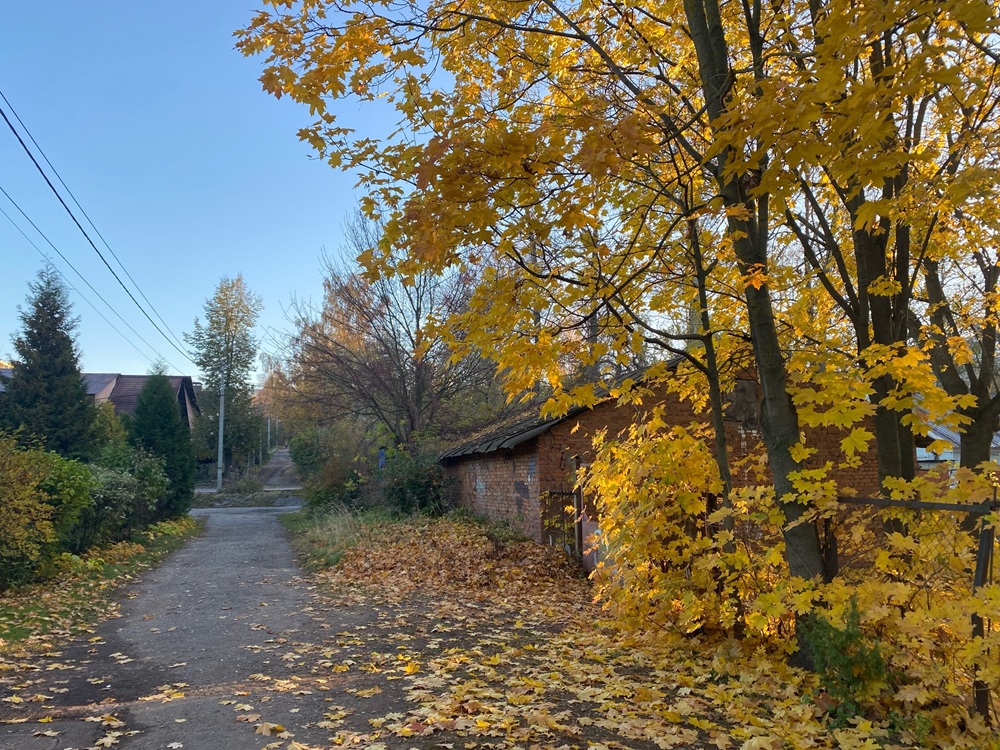 Метеорологи прогнозируют дожди в Владимирской области.