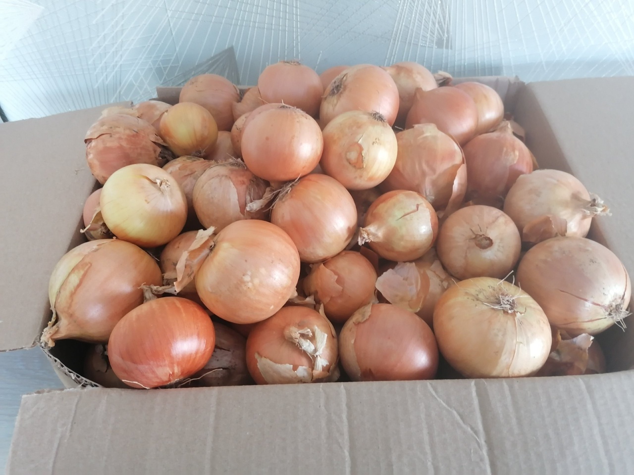  запомните эти 4 правила, и он спокойно пролежит до весны