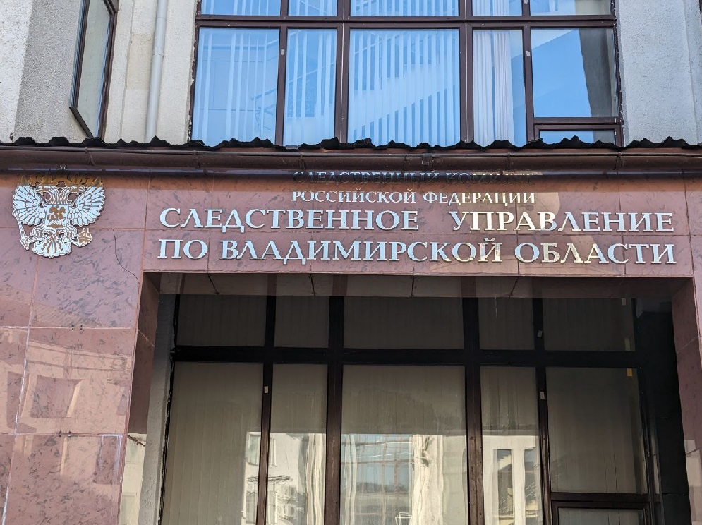 Жительница Вязников украла 305 тысяч при помощи подростка