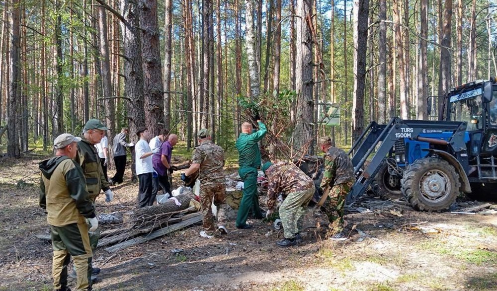 Во Владимирской области прошли акции по восстановлению лесов