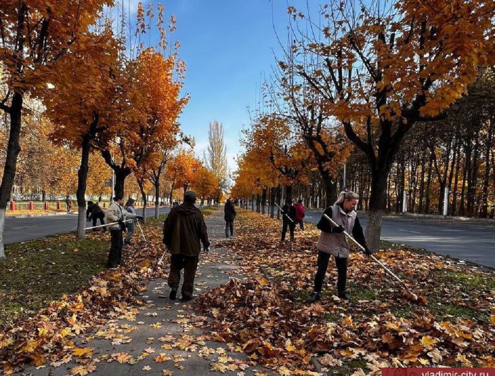 17 тысяч владимирцев вышли на уборку города