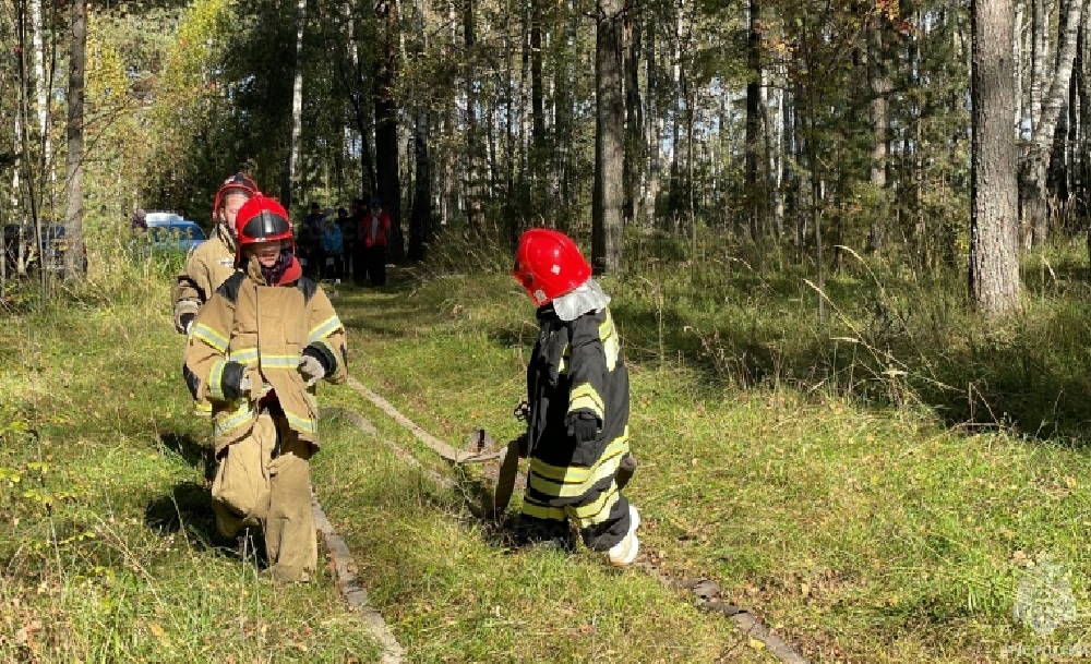 Команды из 17 школ Коврова участвовали в «Школе безопасности»