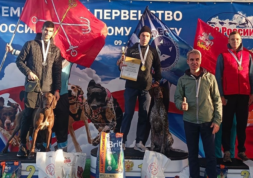 Спортсмены из Владимирской области стали лучшими в ездовом спорте