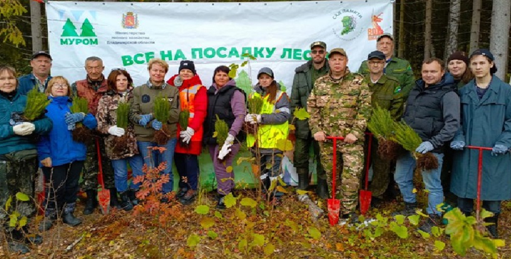 Владимирская область пополнилась новыми деревьями во время осенней акции