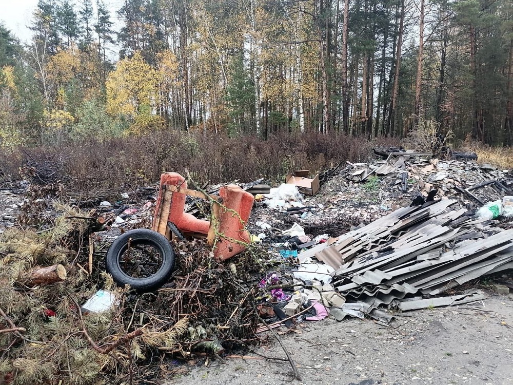 Пять свалок обнаружили около села в Селивановском районе
