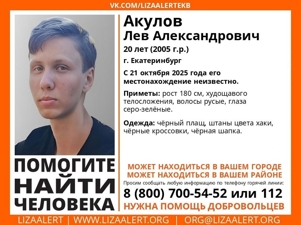 "ЛизаАлерт" просит помочь найти 20-летнего парня во Владимирской области