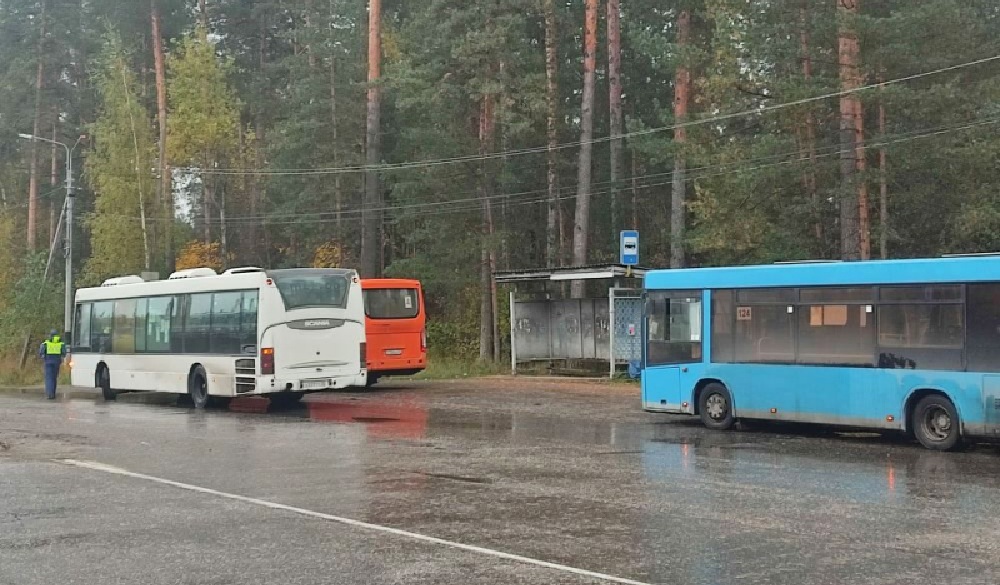 Во Владимире выявили 195 нарушений при проверке автобусов